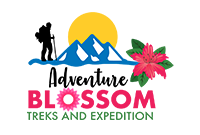 Adventure Blossom